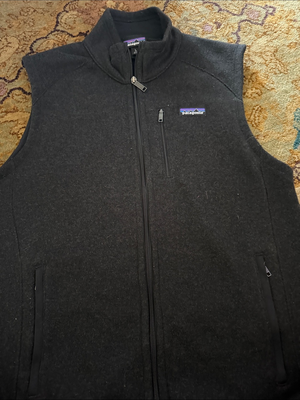 Patagonia Black Men's Full-Zip Fleece Vest